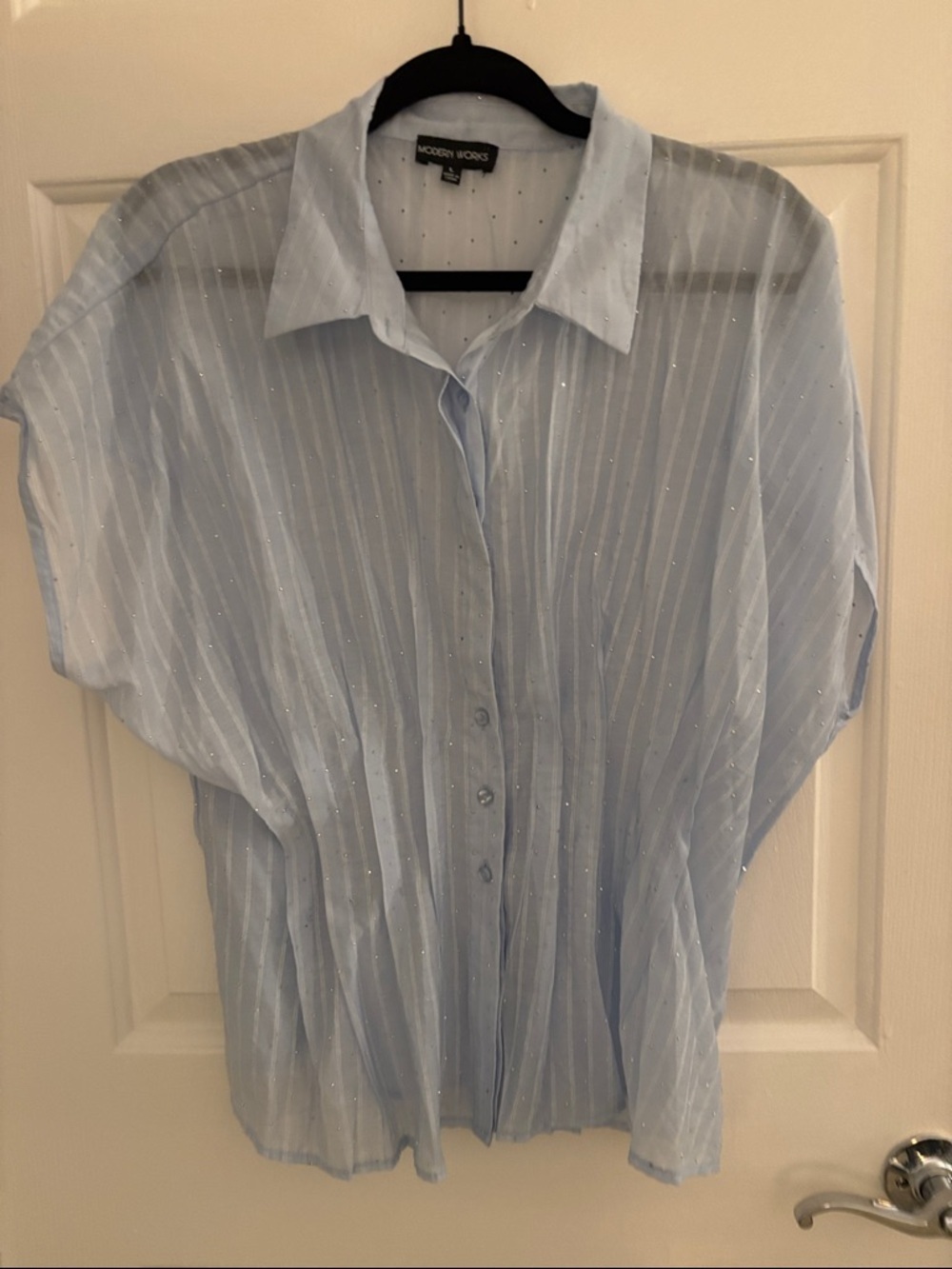 Modern Works Light Blue Sheer Button-Down Blouse